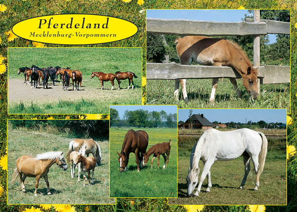 Ansichtskarte Mecklenburg 726
